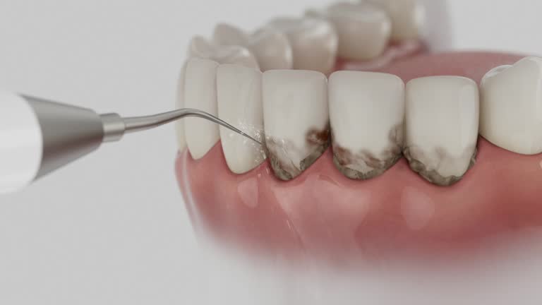Reliable Dental contractor in Orofino, ID by Dentist Open Now